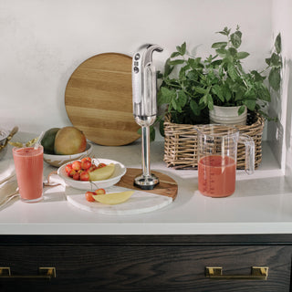 Hand Blender - Polished_6